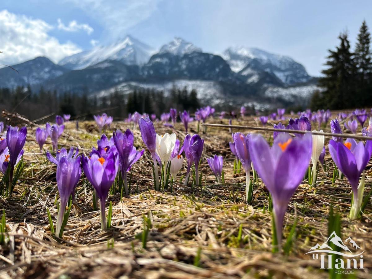 Pokoje U Hani - Sauna, Balia Z Hydromasazem Bukowina Tatrzańska Buitenkant foto